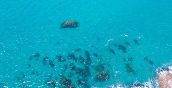 Volare sopra lo splendido mare di Tropea in parapendio biposto
