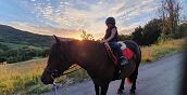 Esperienza a cavallo per i più piccoli con cavalli Bardigiani in Val Noveglia