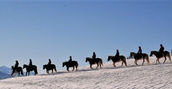 passaggiata-cavallo-maso-coflari