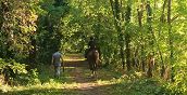 Passeggiata a cavallo nel verde della Pianura Padana, Bosaro, Rovigo