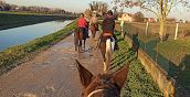 Idea regalo: buono per una passeggiata a cavallo a Bosaro, Rovigo.