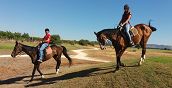 siracusa-lezione-cavallo