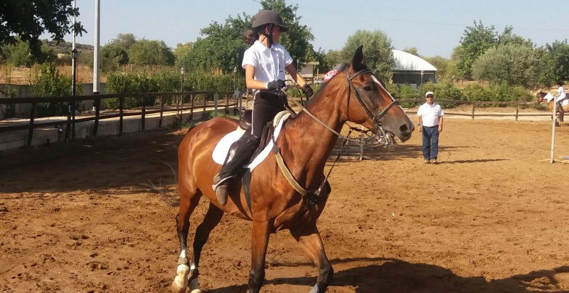 sicilia-lezione-privata-cavallo