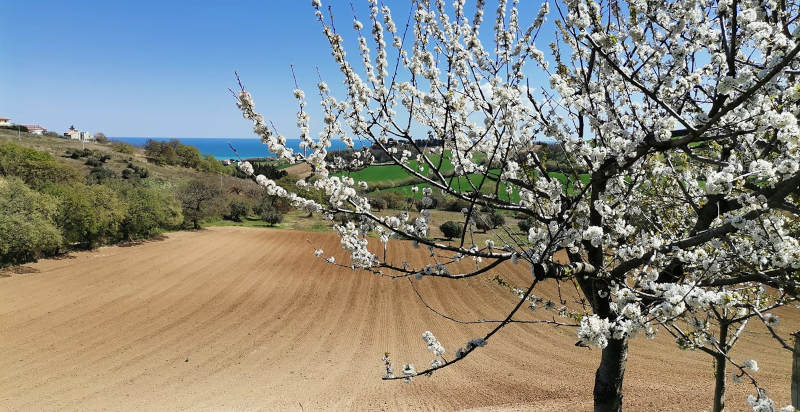 Esperienza in starbox tra relax e campagna marchigiana