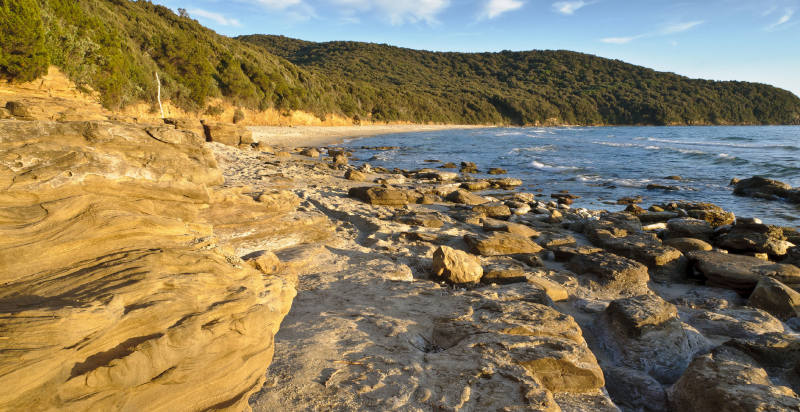 Tour in barca a Scarlino lungo la costa della Maremma