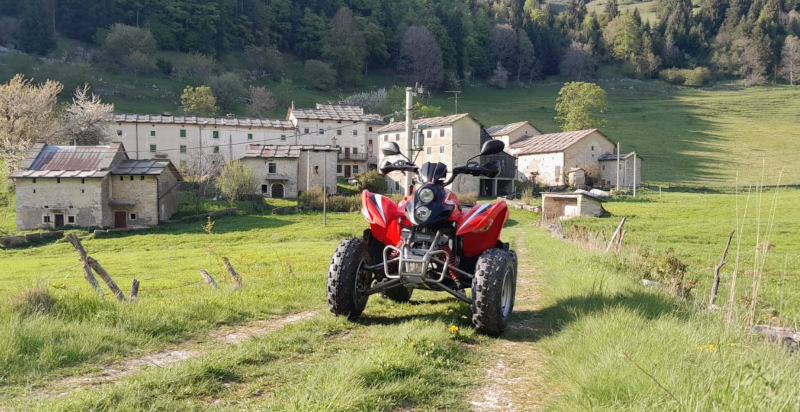 Tour in quad a Verona tra boschi e sentieri naturali