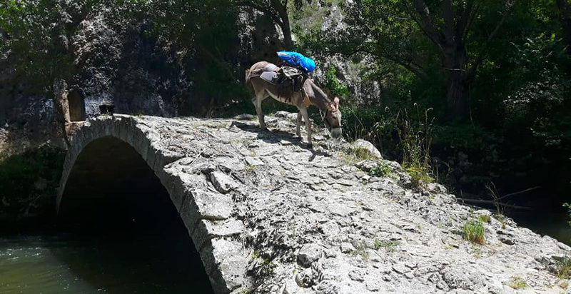 trekking-abruzzo-asino-pernottamento