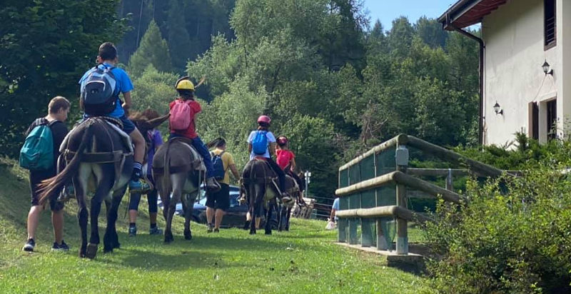 trekking-arco-trentino-asino