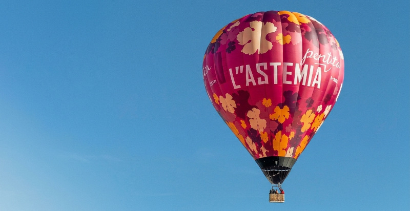Esperienza di volo in mongolfiera in esclusiva per due persone a Barolo